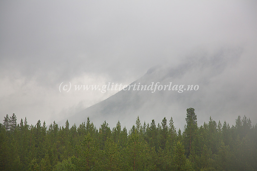 Regntungt landskap i Sjodalen.