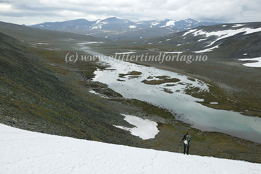 På vei ned mot Trollsteinkvelven. I det fjerne ligger hele Stornubb-Nautgardstindmassivet.