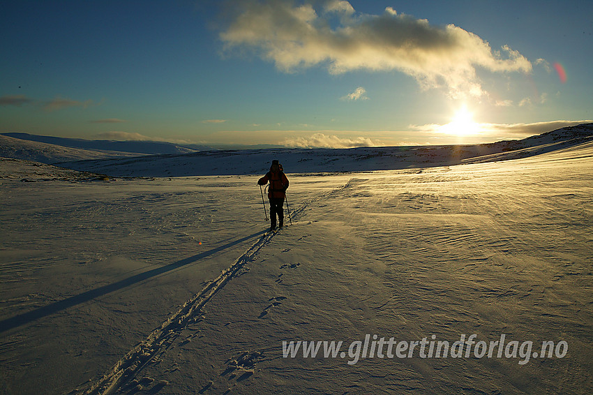 Skitur i Rondane i november. Her på flatene like nedenfor Kaldbekkbotnen.