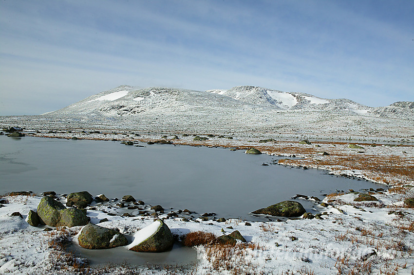 På Valdresflye med utsikt i vestover i retning Steindalen og Øystre Rasletinden (2010 moh).