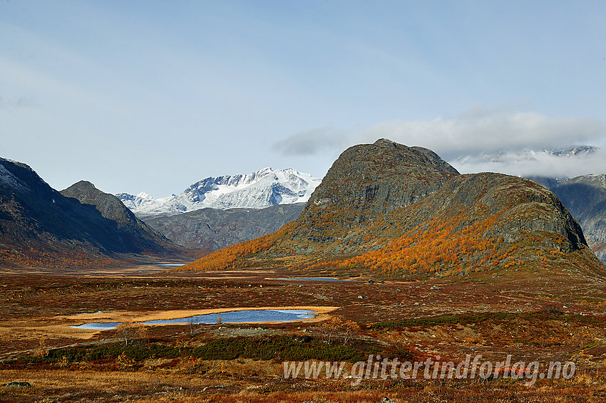 Like ved Vargebakkan med utsikt mot Knutshøe (1517 moh) og nedover Leirungsdalen med Surtningssumassivet (2368 moh) i bakgrunnen.