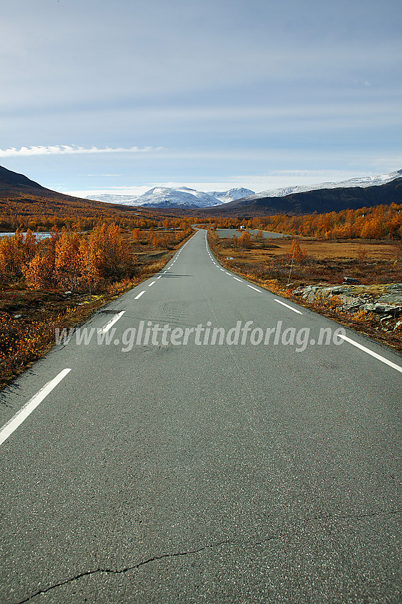 På stikkeveien fra Maurvangen til Gjendeosen, her mot Reinsvangen parkering. I bakgrunnen ses snøkledde tinder, bl.a. Rasletinden (2105 moh) og Munken (2105 moh).