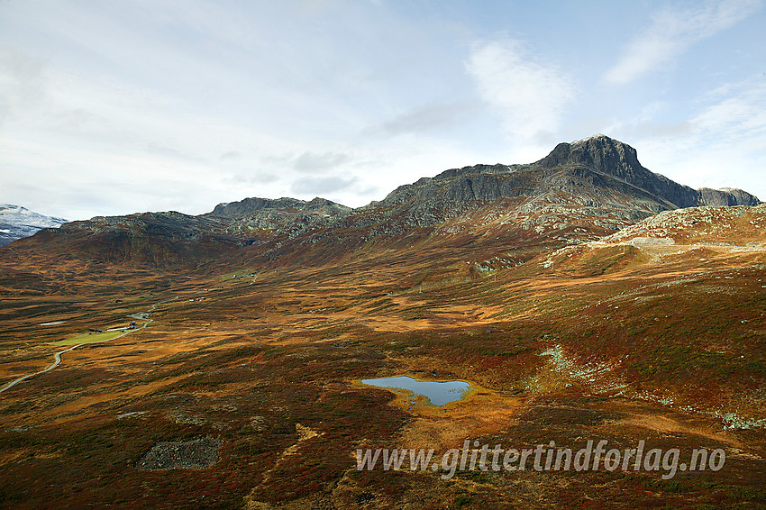 Utsikt fra Smørkollen mot Bitihorn (1607 moh).