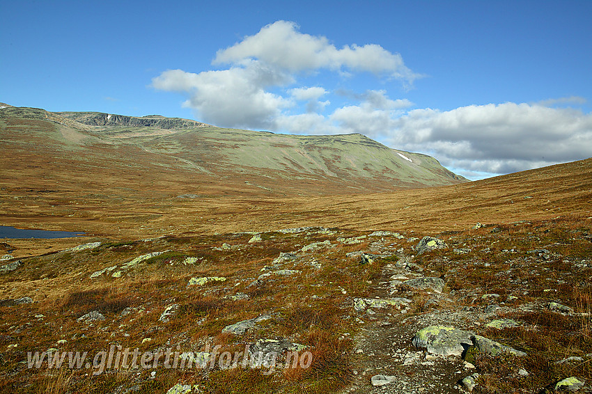 På sti vest-nordvest for Heimre Fagerdalshøe. I forgrunnen ses Breidløypa og i bakgrunnen ruver Rasletinden (2105 moh).