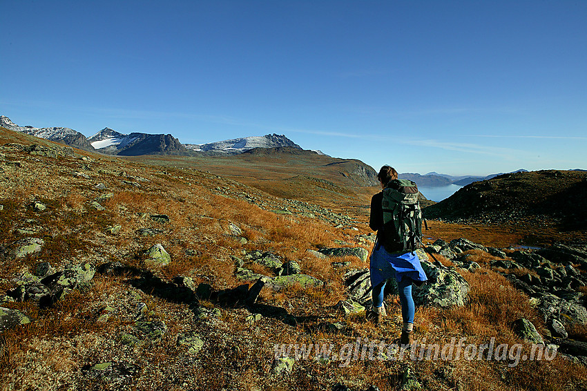 Fottur sør for Galdebergtinden, like ovenfor Galdebergodden med utsikt mot bl.a. Kvitskardtinden og Torfinnstindane. I det fjernes ses også en del av Bygdin.