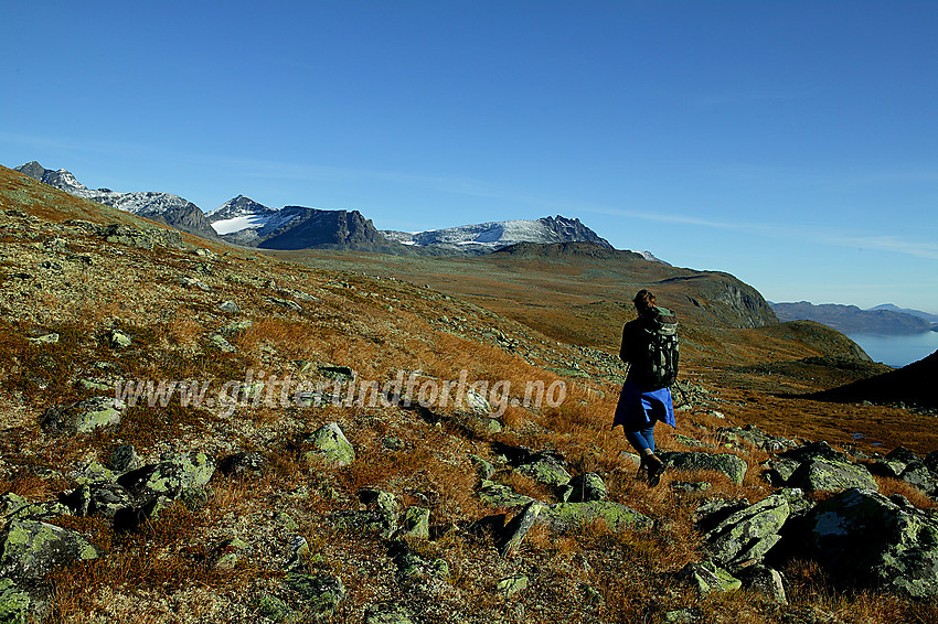 Fottur sør for Galdebergtinden, like ovenfor Galdebergodden med utsikt mot bl.a. Kvitskardtinden og Torfinnstindane. I det fjernes ses også en del av Bygdin.