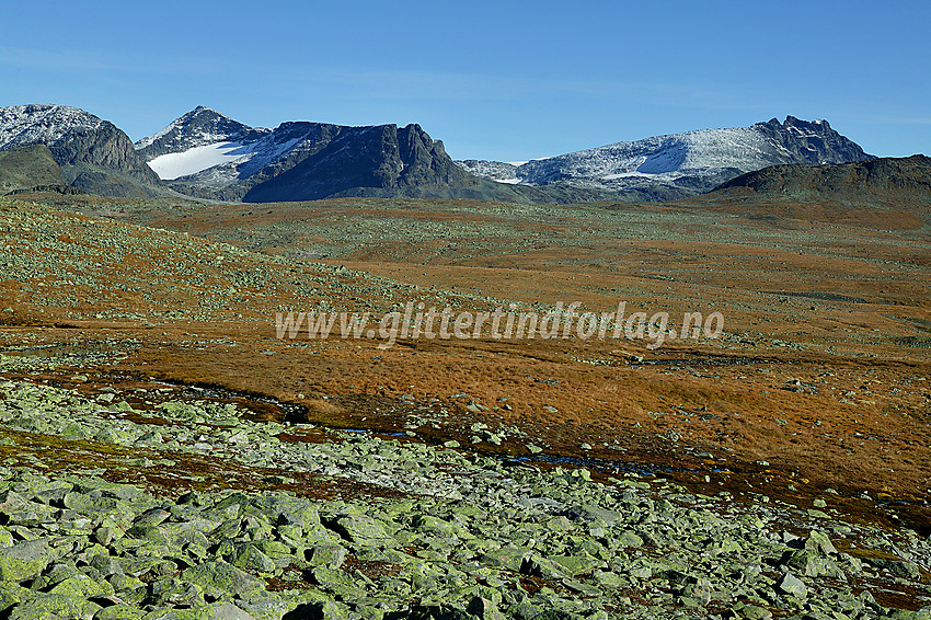 På vandring sørøst for Galdebergtinden med utsikt mot bl.a. Kvitskardtinden (2193 moh) og Torfinnstindane (2119 moh). Sola steiker og det er varmt. I grunnen er det kun nysnøen på toppene og det brune gresset som vitner om at vi er langt uti oktober.