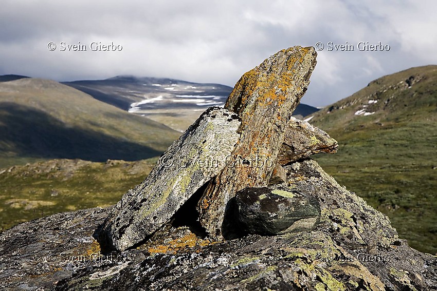 Kvitingskjølen from west. Jotunheimen. Norway.