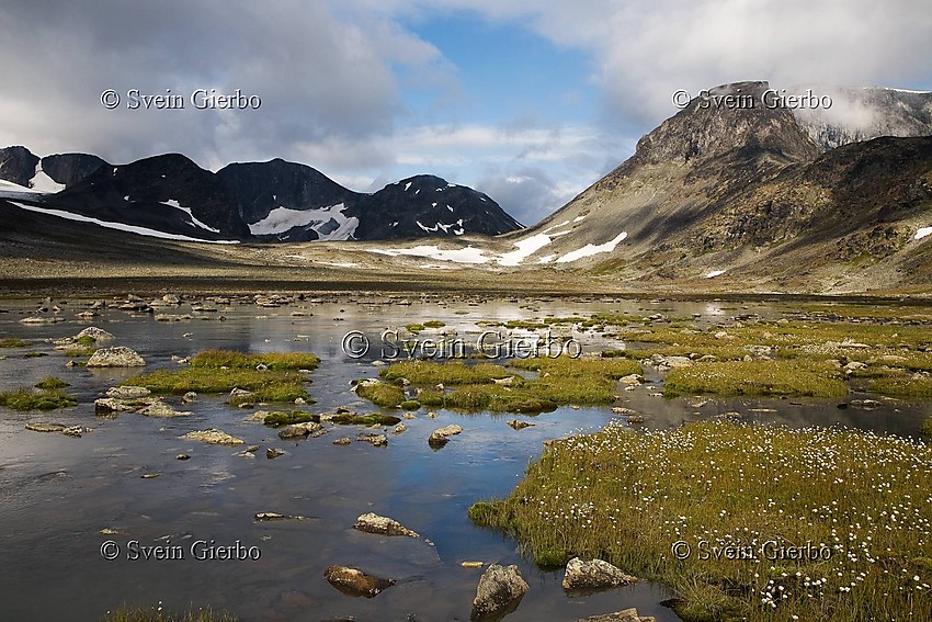 InTrollsteinkvelven valley loooking towards Søre Trollsteinhøe, Svartholshøe, Trollstein-rundhøe, Grotbreahesten and Trollsteineggje (right to left). Jotunheimen National Park. Norway.