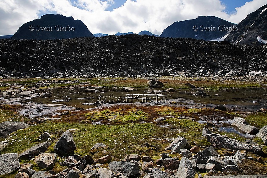 In Trollsteinkvelven valley. Loooking towards, Trollstein-In Trollsteinkvelven valley. Loooking towards, Trollstein-Rundhøe, Trollsteineggje, Glittertind and Grotbreahesten (right to left) and Grotbrean glacier. Jotunheimen National Park. Norway.