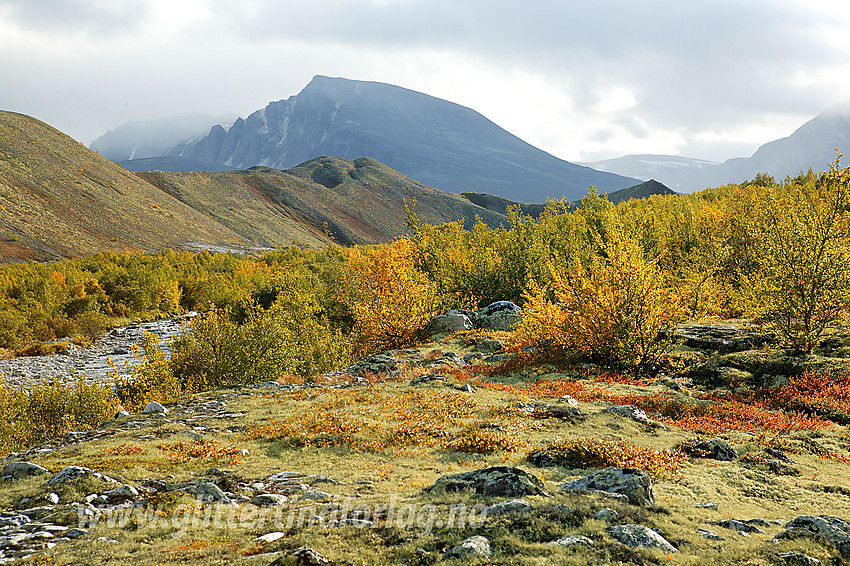 På tur oppover Dørålen. I bakgrunnen ses Nørdre Smedhamran.