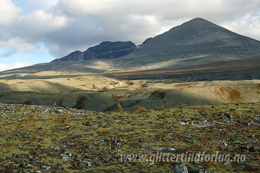 På terassene nord for Døråe med utsikt sørøstover i retning Digerronden (2016 moh) og Midtronden.