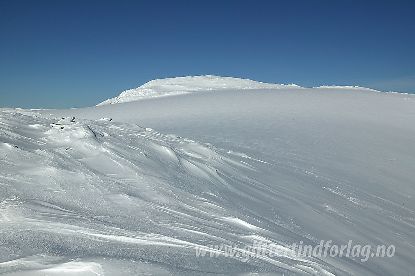 Fra Steineggi mot en del av Harbardsbreen sør for Steinkollen (2018 moh) som må krysses om man kommer fra denne kanten og vil opp på kollen der oppe. Flata ser fin og "trygg" ut. Bre er bre, men denne dagen tok vi sjansen.