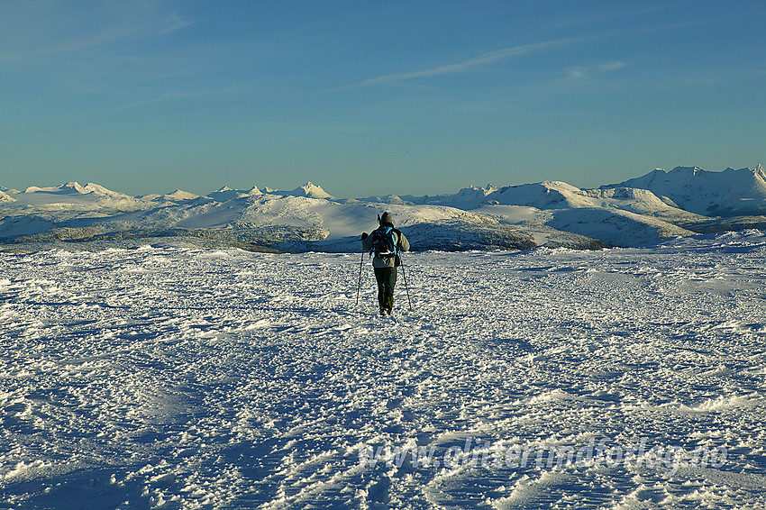 På vei over topplatået på Steinkollen (2018 moh) i kveldssol med Jotunheimen i det fjerne.