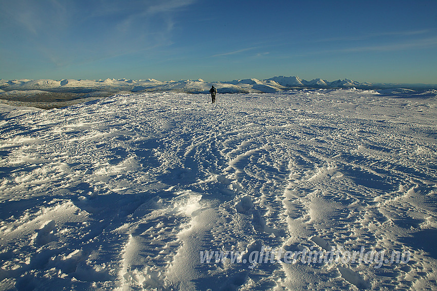 På vei over topplatået på Steinkollen (2018 moh) i kveldssol med Jotunheimen i det fjerne.