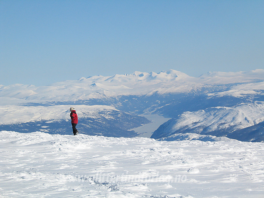 Fra Storivilen (2068 moh) med utsikt øst-nordøstover helt til Rondane.