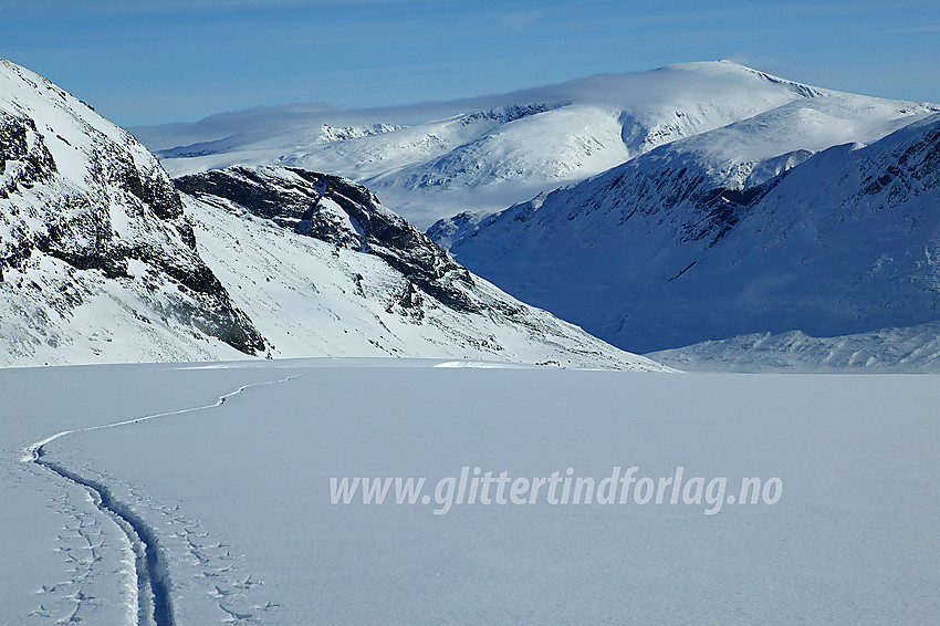 Fra Tverråbrean mot Glittertinden (2464 moh). Foran til høyre ses Skauthøe.