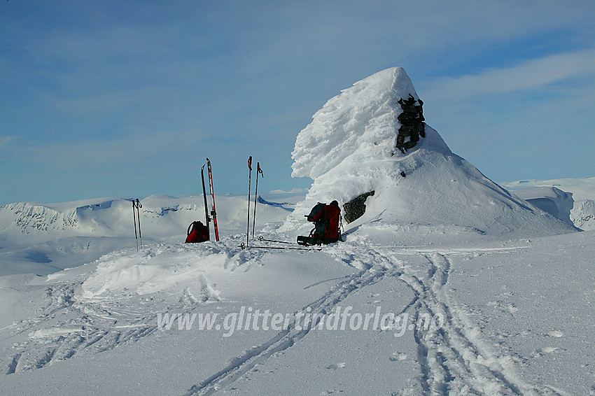 Toppvarden på Bukkehøe (2314 moh).