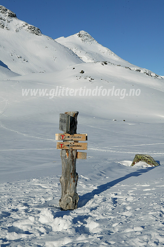 Skilt utenfor Leirvassbu. Stetinden (2020 moh) i bakgrunnen.