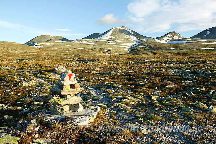 På flyene sør for Smiubelgin, her med bl.a. Ljosåbelgen (1948 moh), Hoggbeitet (1805 moh). I forgrunnen varde på stien mellom Rondvasbu og Peer Gynt-hytta/Høvringen.