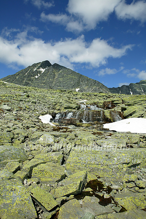 Storsmeden (2016 moh) sett fra Kaldbekkbotnen.