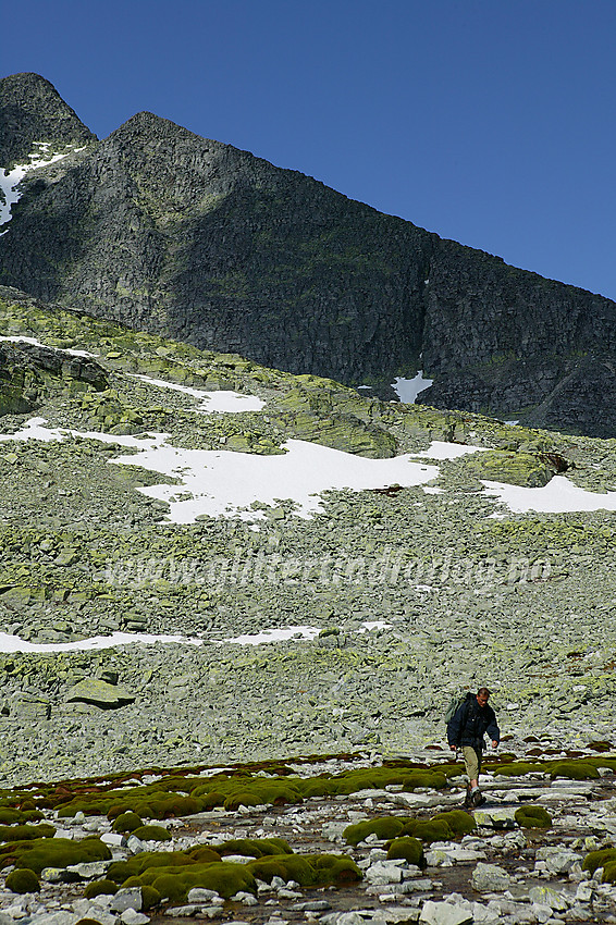 Fjellvandrer i Kaldbekkbotnen. Storsmeden (2016 moh) i bakgrunnen.