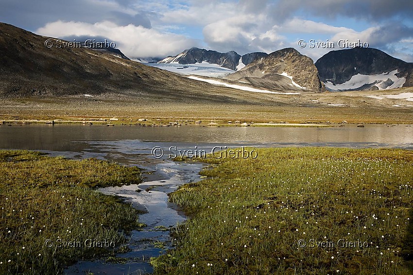 In Trollsteinkvelven valley. Loooking towards Trollstein-Rundhøe, Grotbreahesten and Trollsteineggje (right to left) and Grotbrean glacier. Glittertinden, Norways second highest mountain, is obscured by clouds. Jotunheimen National Park. Norway.