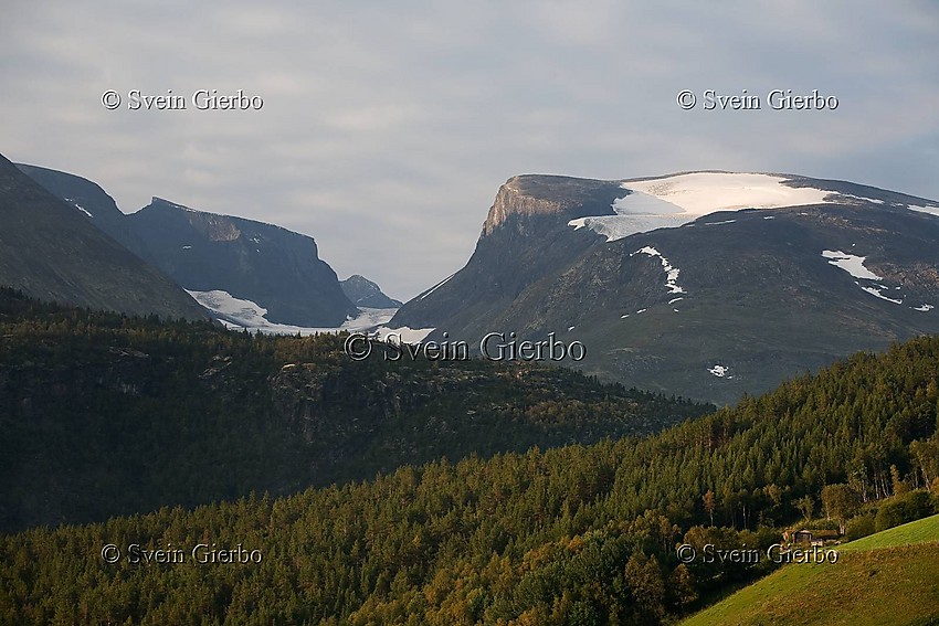 Bøverdalen towards Vesle Galdhøpiggen mountain and Storgrovbrean  glaciers. Oppland. Norway.