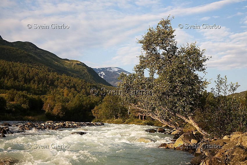 Leira river in Leirdalen valley. Oppland. Norway.