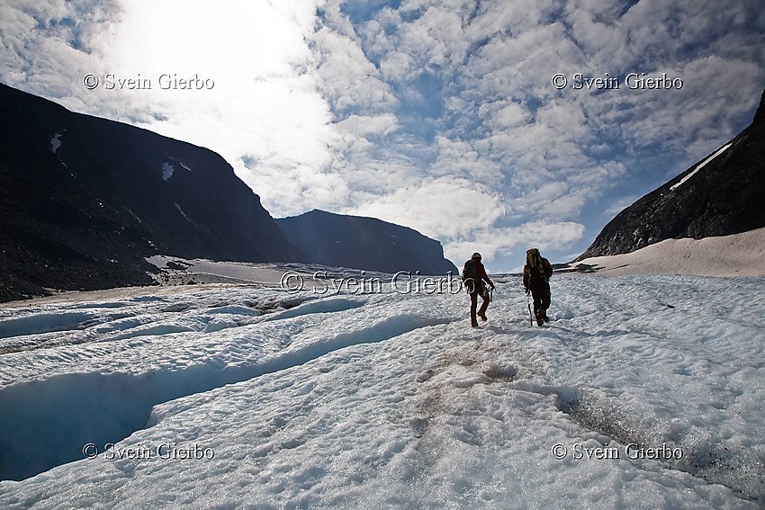 Hikers on Storjuvbrean glacier. Jotunheimen National Park. Norway.