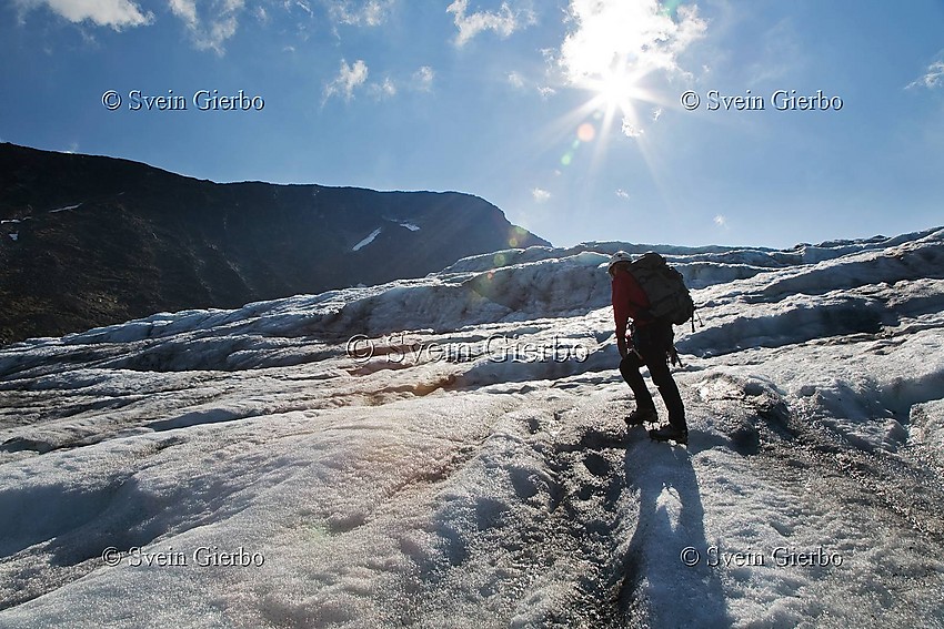 Hiker on Storjuvbrean glacier. Jotunheimen National Park. Norway.