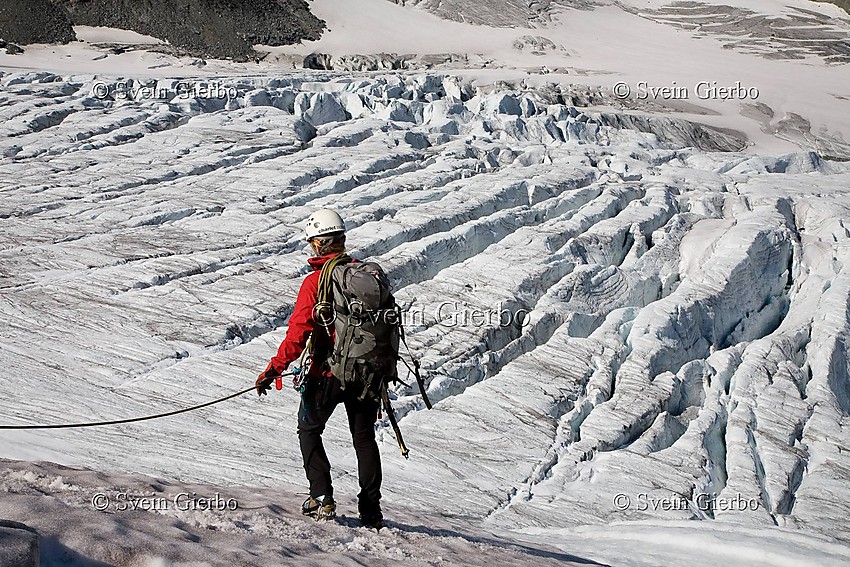 Hikers on Storjuvbrean glacier. Jotunheimen National Park. Norway.