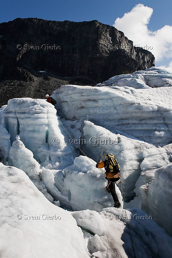 Hikers on Storjuvbrean glacier. Towards Vesle Galdhøpiggen mountain. Jotunheimen National Park. Norway.