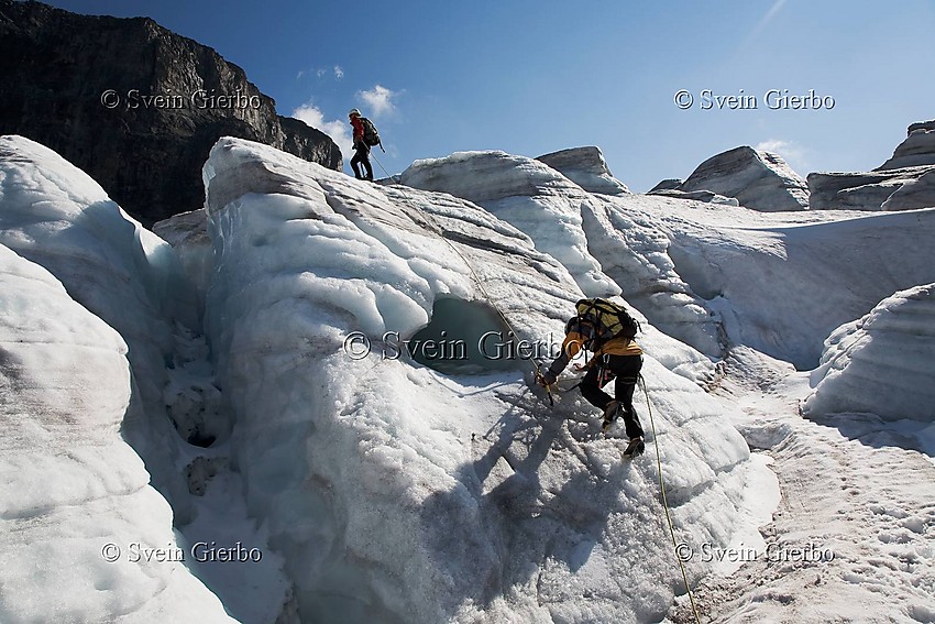 Hikers on Storjuvbrean glacier. Towards Vesle Galdhøpiggen mountain. Jotunheimen National Park. Norway.