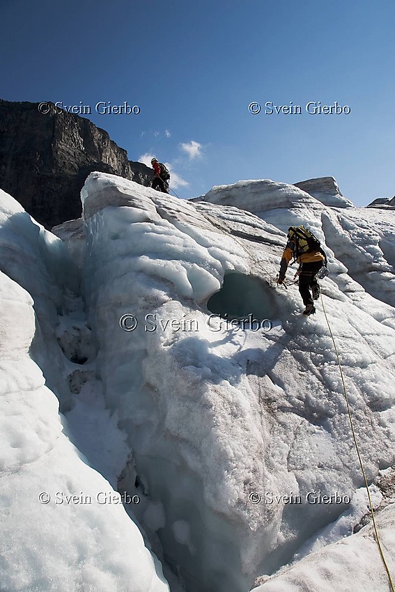 Hikers on Storjuvbrean glacier. Towards Vesle Galdhøpiggen mountain. Jotunheimen National Park. Norway.