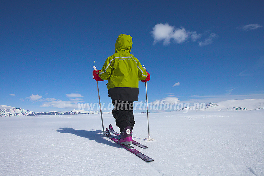 Liten skiløper på Valdresflye.