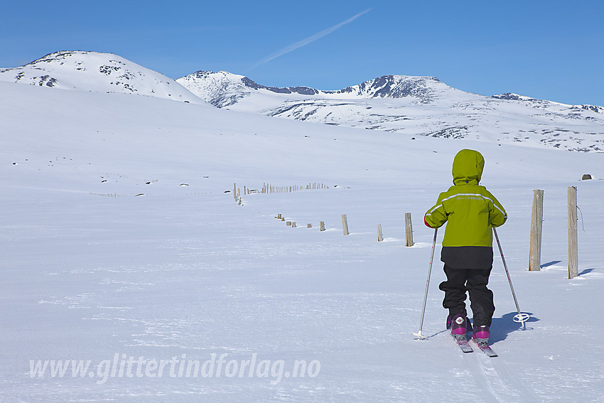 Liten skiløper på Valdresflye. I bakgrunnen bl.a. Tjønnholstinden (2330 moh) og Høgdebrotet (2226 moh).