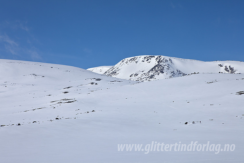 På Valdresflye med Øystre Rasletinden (2010 moh) i bakgrunnen.