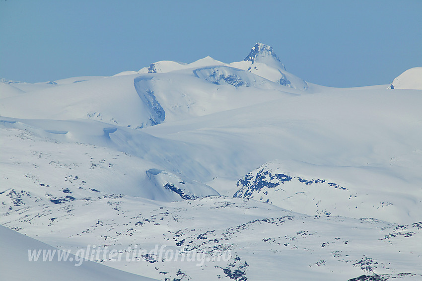 Utsikt fra Holåbrean mot Jostedalsbreen med Lodalskåpa (2082 moh) sentralt.