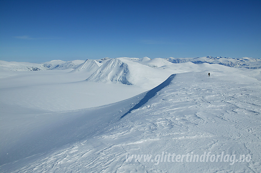 Fra Vestre Holåtinden med utsikt øst-sørøstover mot andre Holåtinder, Hestbreapigger og Jotunheimen. Nede til venstre ses Holåbreans vidstrakte snøflate.