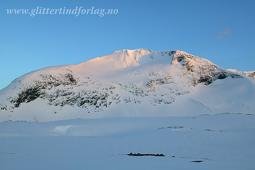 Steindalsnosi (2025 moh) sett fra Sognefjellsveien en maikveld.