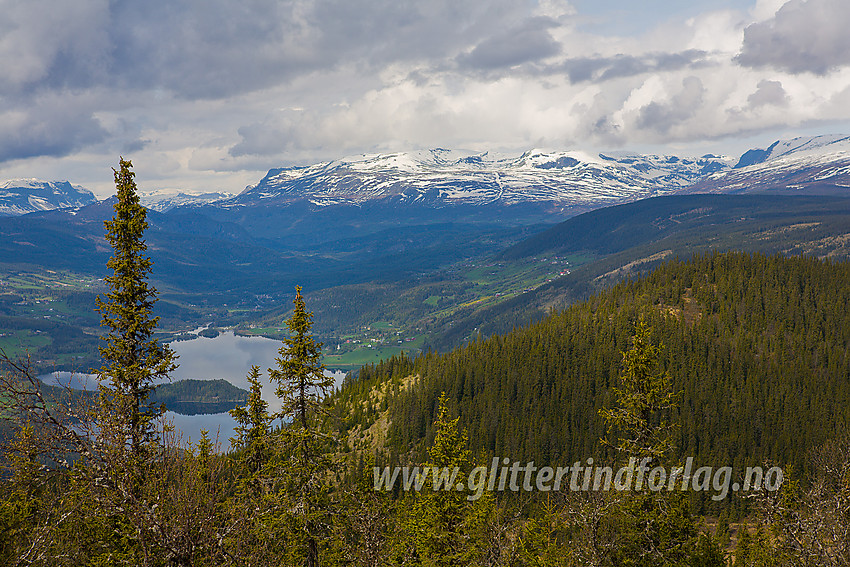 Utsikt fra Kvithøvd (1001 moh) mot Vennisfjell.