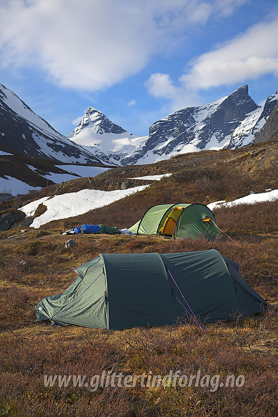 Telt ytterst i Ringsdalen. I bakgrunnen ruver de flotte tindene Midtre (2025 moh) og Store (2124 moh) Ringstinden.