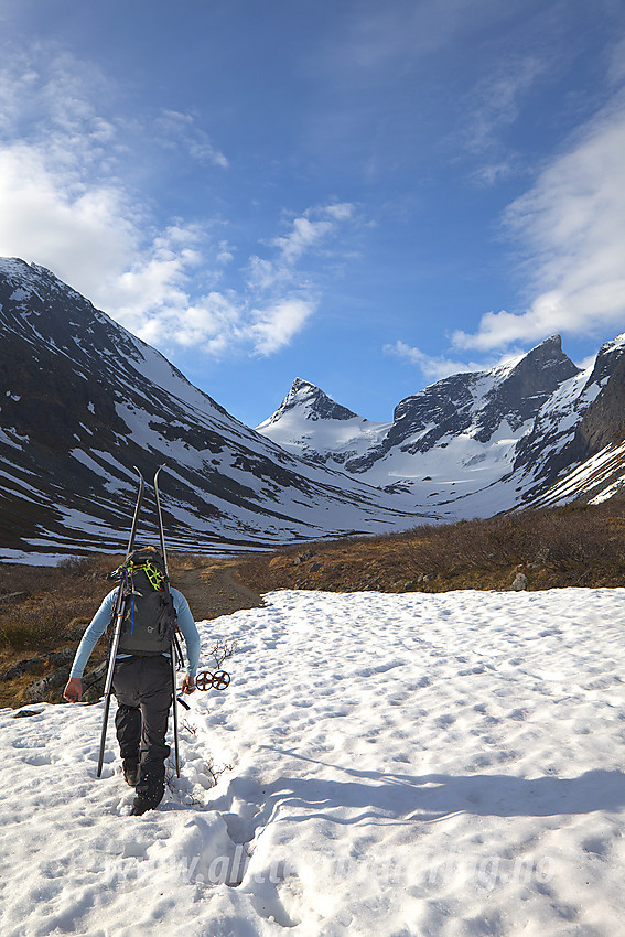 På vei inn i Ringsdalen en maimorgen. I bakgrunnen ses Midtre (2025 moh) og Store (2124 moh) Ringstinden.