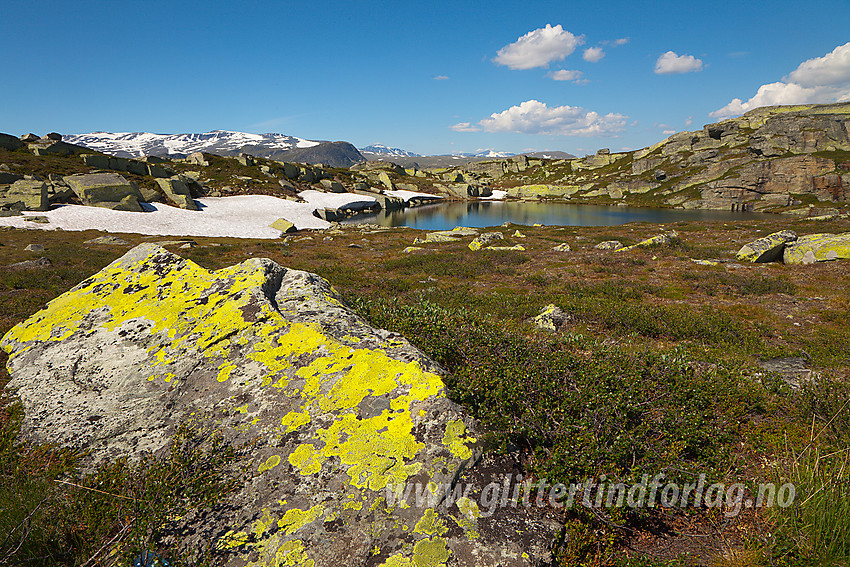 Lite tjern i Søre Båtskardet, nær stien fra Båtskardstølane mot Gravolskampen. I bakgrunnen deler av Jotunheimen med bl.a. Kalvehøgde.