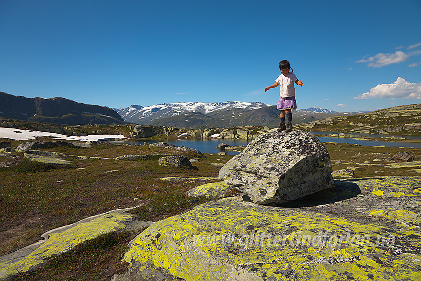 Steiner som kan klatres er alltid morsomme avbrekk på fotturer med barn. Har på stien fra Båtskardstølane mot Gravolskampen. I bakgrunnen en serie idylliske tjern som passeres og i det fjerne Jotunheimen med bl.a. Kalvehøgde og Rasletinden.