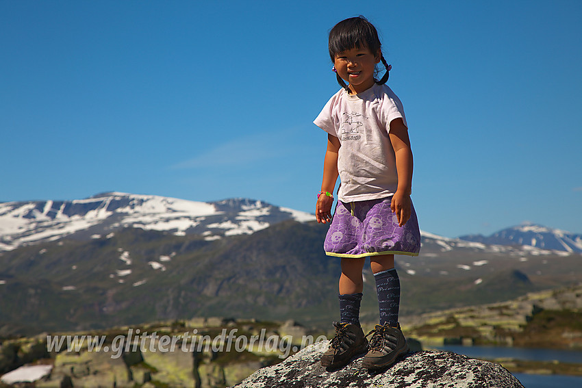 Liten stein besteget på tur fra Båtskardstølane mot Gravolskampen. I bakgrunnen troner Jotunheimens stortopper representert ved Rasletinden (2105 moh).