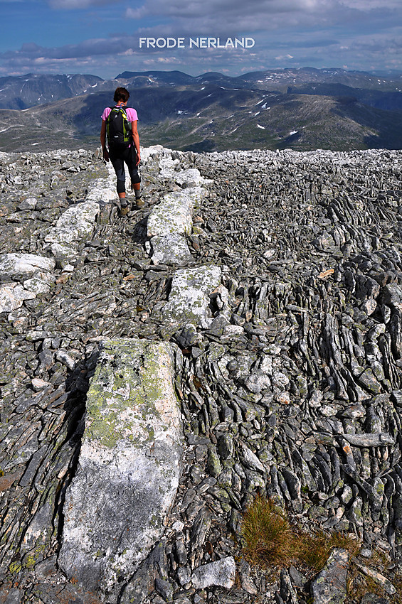 På vei ned eggen fra Reinstind mot Reinsvatnet.Paddemark med naturlig vei ?