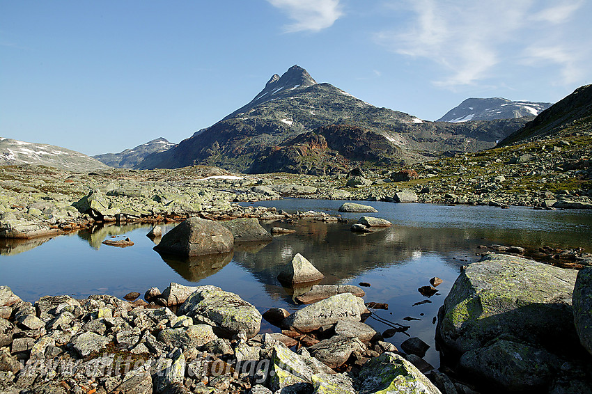 Sommermorgen på vei fra Koldedalen opp mot Uradalsvatnet med Uranostindryggen i bakgrunnen.