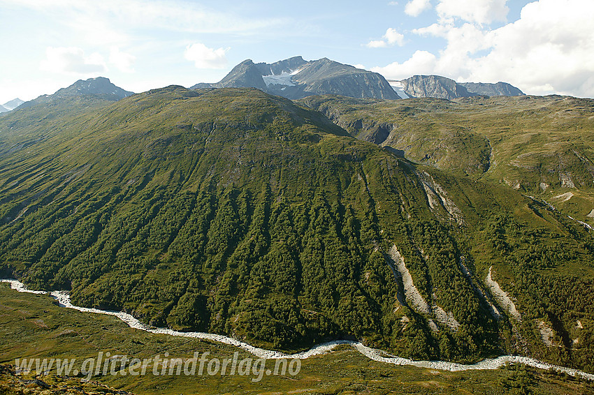 Oppe ved Sjugurdtinden med utsikt i nordlig retning mot Memurudalen, Muru, Raudhamran, Surtningssue.